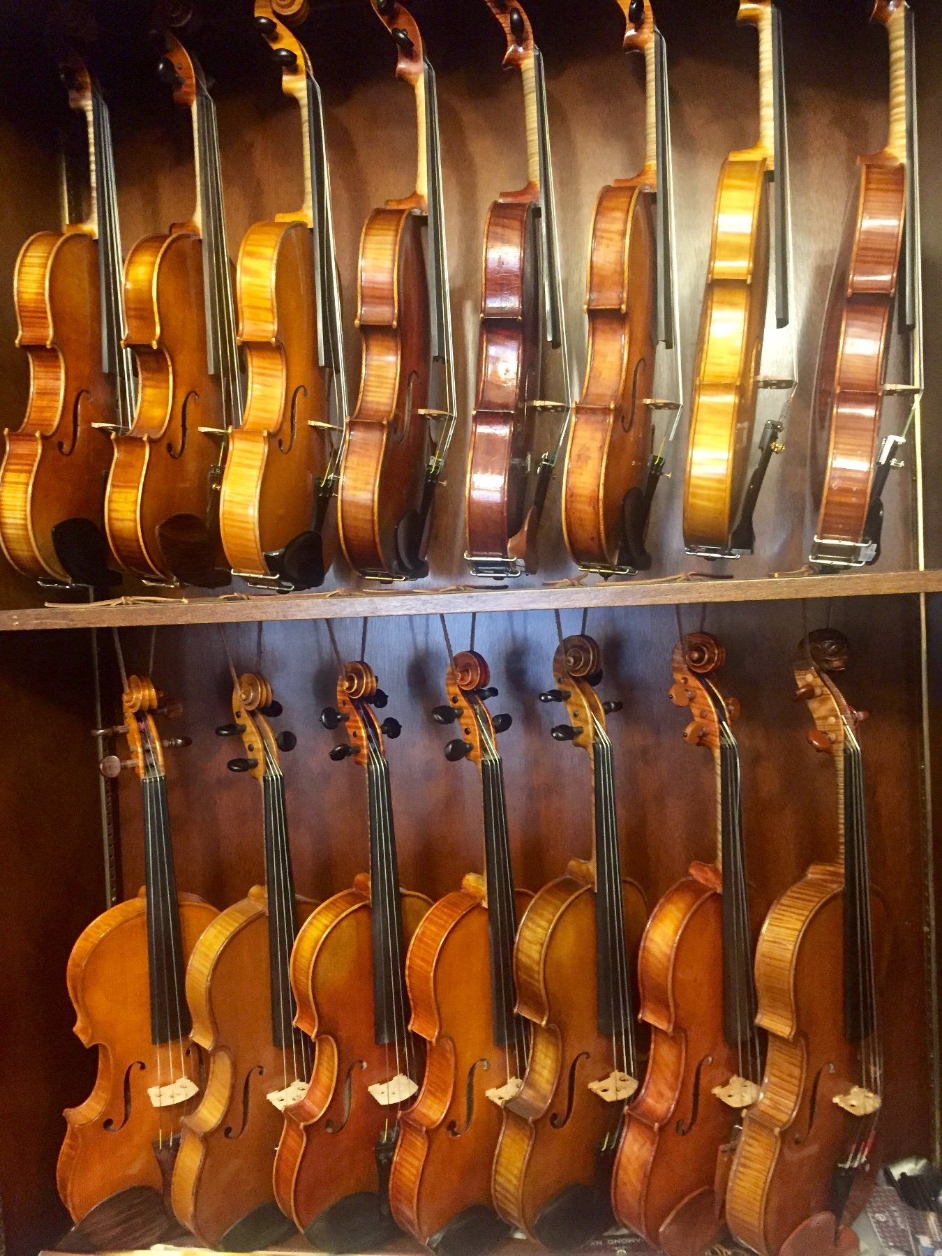Flamed-maple violin back glowing under warm light at Segel Violins in Troy, NY