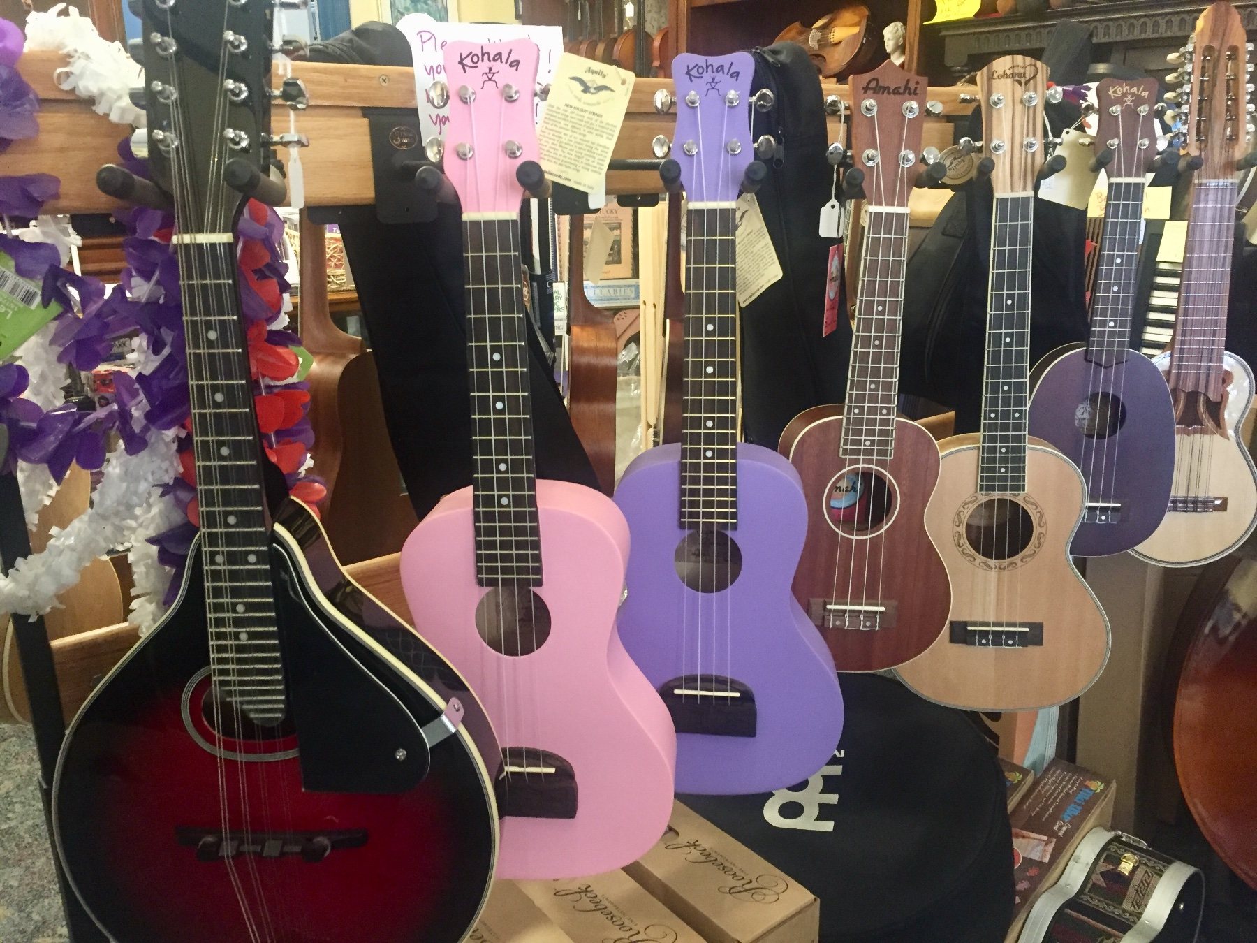 Ukuleles and other stringed instruments on the wall at Segel Violins
