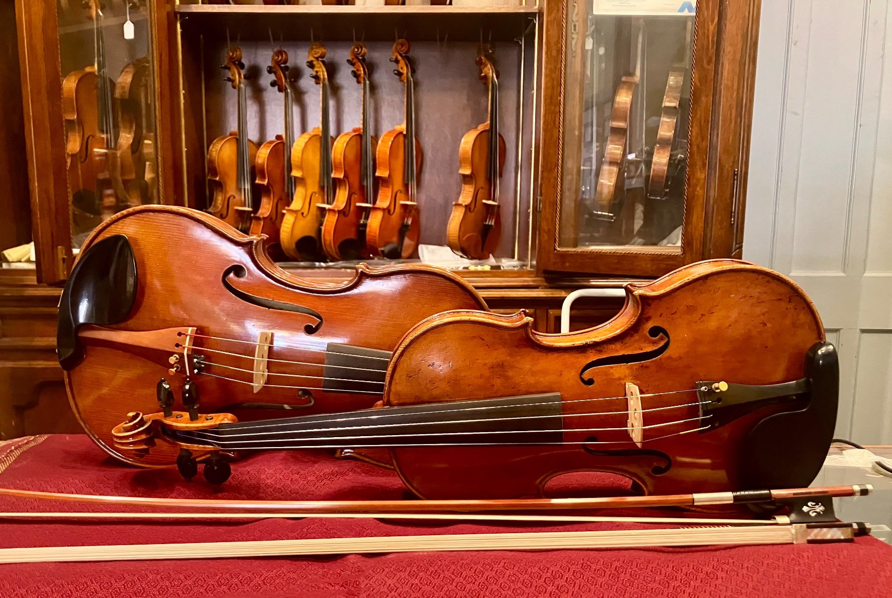 Violins, violas and bows on display at Segel Violins in Troy, NY Violins, violas and bows on display at Segel Violins in Troy, NY